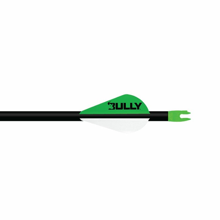 Components Easton Archery | 2 Bully Vanes By Bohning